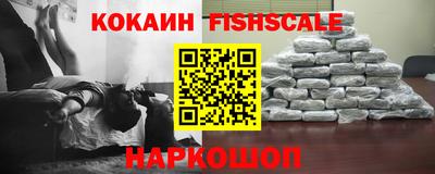 прущие грибы Брянск