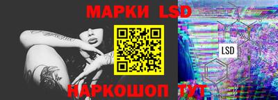 прущие грибы Брянск