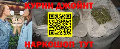 прущие грибы Брянск