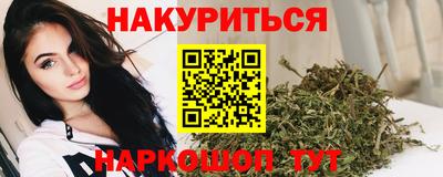 прущие грибы Брянск