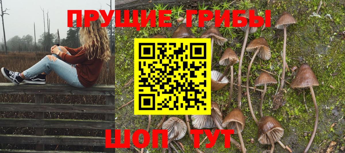 Губаха  Галлюциногенные грибы Cubensis  Вход с VPN 