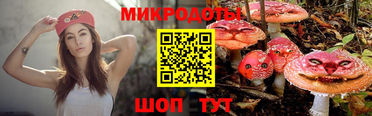 Галлюциногенные грибы Cubensis Губаха