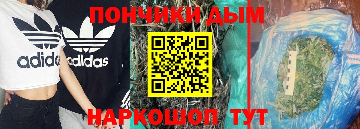 Бошки марихуана SATIVA & INDICA  Бошки Шишки планчик  Шишки марихуана индика  Губаха  Вход с VPN 